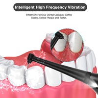 Kit de Herramientas para Eliminar el Sarro, Limpiador Dental Eléctrico, Removedor de Cálculos