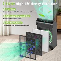 Filtre purificateur d'air HEPA H13 et filtre à charbon actif, lot de 2, remplacement pour Winix 5510/5520, référence 1712-0123-00, fourni par l'usine