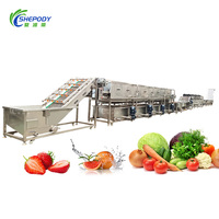 Shepody Volautomatische Groentefruit Sortering Wasdroogverwerkingslijn Fruitgroente Wasmachine Verwerkingsmachines Lijn