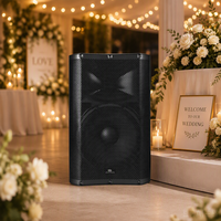 Vantas-158DSP Enceinte active 15 pouces avec amplificateur de classe D, Bluetooth TWS, lecteur MP3, haut-parleur professionnel pour scène, mariage, événements en plein air