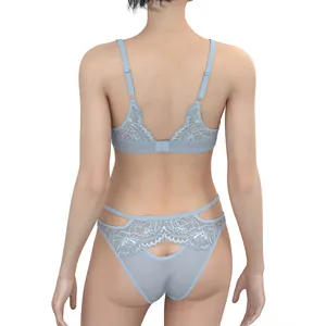Wholesale Bra For Women Bra Brief Sets Sexy Lingerie Women's Underwear Bra Set