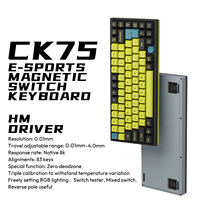 Clavier magnétique GATERON Jade Switch Sikakeyb Castle Ck75 83 touches 75% avec capteur Hall