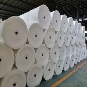 Offre Spéciale – Rouleau de Tissu Non Tissé PP Biodégradable Noir et Blanc Anti-UV pour Couverture de Sol Agricole et Barrière Anti-Mauvaises Herbes – Prix Compétitif - Product Image 4