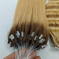 Ekstensi Rambut Bulu H6 Grosir Pabrik T4/24 Ombre Rambut Asli Virgin h Tips Ekstensi Rambut untuk Penjual Grosir Salon