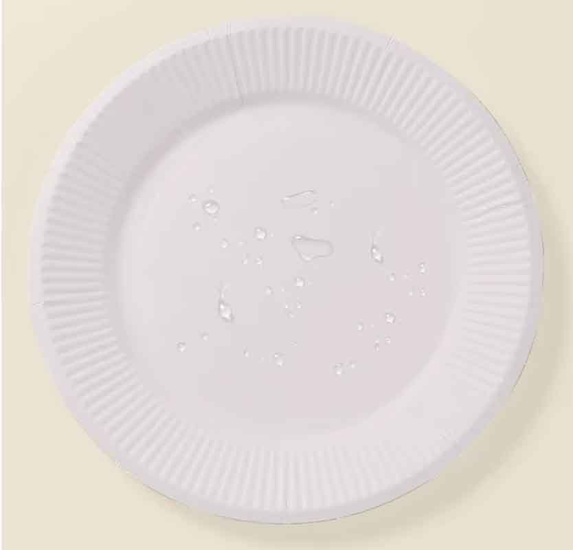 Modern Disposable White Cardboard Paper Tray Food Grade Paper Bowl for Hotels Parties Birthdays-Premium Paper Plate