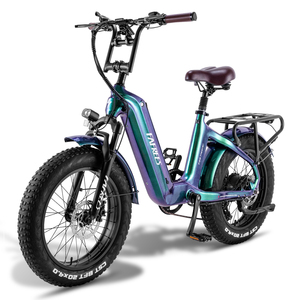 <span class=keywords><strong>Fafrees</strong></span> 20*4.0 "Pneu En Fiber De Carbone Ebike Suspension Avant 7 Vitesse 22.5Ah 500W 48V Commute Vélo De Ville Électrique <span class=keywords><strong>F20</strong></span> Master - Product Image 1