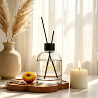 Bouteilles de diffusion vides personnalisées en gros de 100 ml, 150 ml, 200 ml avec bâtonnets diffuseurs pour la décoration intérieure