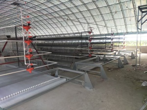 Attrezzatura Automatica per Allevamento Avicolo - Raccoglitore di Uova, Mangiatoia, Pulitore di Letame - Gabbia Zincata a Caldo a 4 Livelli per 128 Uccelli - Prezzo Conveniente - Product Image 5