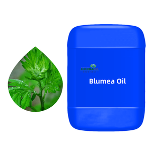 100% reines traditionelles chinesisches Kräuter-Blumea-Öl für <span class=keywords><strong>Massage</strong></span> und Aroma therapie zur Verfügung gestellt frei Probe - Product Image 6