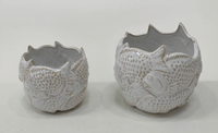 Pots à plantes décoratifs uniques en porcelaine durable et écologique, vase pour plantes succulentes, pour la maison, le balcon, le jardin, utilisation au sol