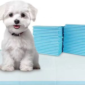 Tapis absorbant hygiénique pour l'apprentissage de la propreté des chiots et des grands chiens, anti-odeur, 45x60 - Product Image 1
