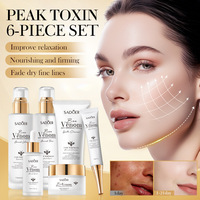 OEM Private Label Venom d'abeille Anti-rides Raffermissant Nourrissant Ensemble de six pièces Ensembles de soins de la peau blanchissants à la niacinamide coréenne