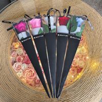 Rose unique préservée de qualité supérieure avec tige dans un emballage en PVC conique - Cadeau de Noël écologique et durable