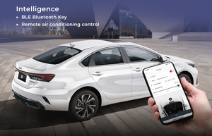 Auto per automobili a combustibile <span class=keywords><strong>Kia</strong></span> K3 di alta qualità e a basso prezzo con veicoli elettrici <span class=keywords><strong>Kia</strong></span> K3 in vendita veicoli ibridi - Product Image 5