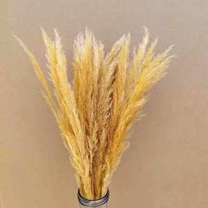 Arreglos florales para el hogar, decoración de boda, Pampas secas, hierba rugosa, hierba - Product Image 3