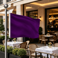 Drapeau violet uni, bannière en polyester violet uni pour la décoration extérieure et intérieure, les événements, les sports