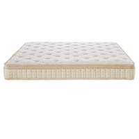 King mousse à mémoire de forme hybride en peluche souple avec ressorts ensachés Matelas