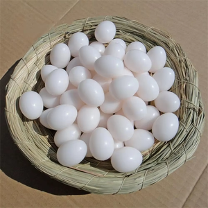 Uova di Piccione Finte in Plastica Solida per Stimolare la Deposizione delle Uova e il Controllo dell'Allevamento e della Schiusa - Product Image 5