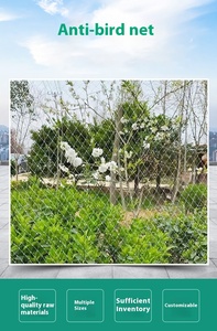Hot bán 100% PP chống chim nông nghiệp vườn nhựa Bird lưới cho rau trang trại - Product Image 6