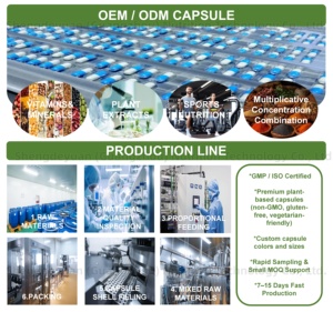 Compléments alimentaires en capsules de <span class=keywords><strong>cactus</strong></span> nopal à base de plantes, marque privée OEM, pour le soutien digestif, l'équilibre métabolique et la gestion du poids - Product Image 3