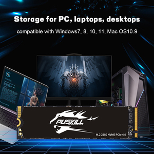 PUSKILL Factory Good Price Customized High Performance NVMe <b>M.2</b> 2280 PCIE3.0 <b>SSD</b> 256GB For computer - Product Image 6