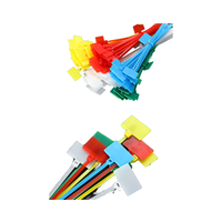 Attaches de câble autobloquantes en nylon coloré 2,5x200, étiquette d'identification pour câble, marqueur pour gestion des câbles réseau