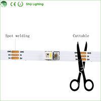 Running Chasing Dream Full Color Individuel Adressable 5V Sk6812 Rgb Led Strip