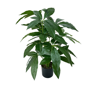 QYYM-265 trong nhà/ngoài trời PVC dính cây xanh dễ dàng kéo Fortune Tree lá nồi cây nhân tạo đám cưới trang trí nội thất đạo cụ tường - Product Image 1