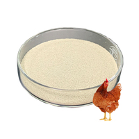 Additifs fourragers levure saccharomyces cerevisiae alimentation animale porcs probiotique dans l'alimentation des bovins