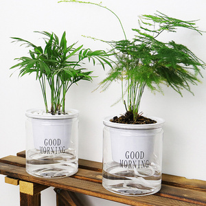 Small Plastic Flower Pots Plastic Wholesale Lazy Small Office Indoor Modern Transparent Succulent Plant Plastic Self Watering Flower Pots