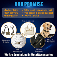 Collier pour chien en alliage de zinc classique et professionnel avec boucle robuste et design portable, taille et couleur personnalisables, OEM accepté
