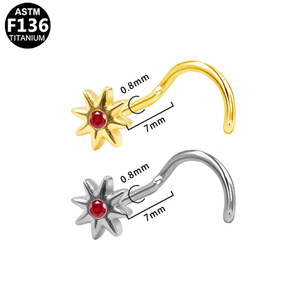 Anneau de nez en titane G23, forme cœur, serti de zircone cubique, bijoux de piercing unisexe tendance - Product Image 4