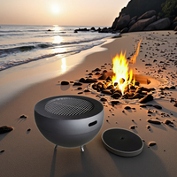 Barbecue portable en acier, résistant à l'eau, pour extérieur, à charbon de bois, foyer, poêle, peinture haute température pour extérieur