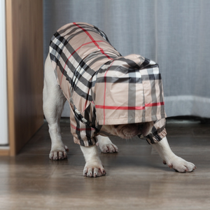 Capa de chuva para cachorro, camiseta com bico de cachorro, casaco de moda para cachorros, vestidos de verã<span class=keywords><strong>o</strong></span> reflexivos, roupas para animais de estimaçã<span class=keywords><strong>o</strong></span> - Product Image 6