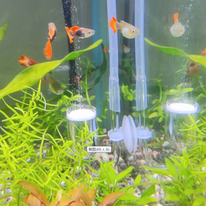 Ultra-Dense Glass Bubble Disc para Aquarium <span class=keywords><strong>Fish</strong></span> Tank Eco-Friendly <span class=keywords><strong>Oxygen</strong></span> <span class=keywords><strong>Pump</strong></span> Nano Bubble Acessórios para sala - Product Image 5