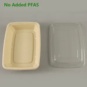 Container No Added Pfas Biodegradable Rectangle Sugarcane Pulp Bagasse Food Container