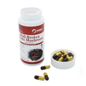 Reishi Spore Sistema Inmune Booster y suplemento cerebral nootrópico