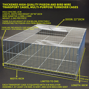 Evcil hayvan yetiştirme için güvercin yetiştirme güvercin kafesi için dayanıklı galvanizli çelik tel Mesh - Product Image 5