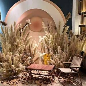 Flores secas de caña natural, caña de Dapu famosa de Internet, diseño de suelo, arreglo de escena, accesorios de tiro, paisaje de caña eterna - Product Image 3