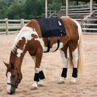 Appareil orthopédique de grande taille pour le dos de cheval 660nm 850nm photothérapie infrarouge rouge LED dispositif de thérapie équine à lumière rouge
