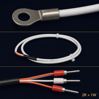 HUADONG Surface Mount Round Hole PT100 RTD Temperature Sensor, 3 Wire, Metal Mounting Tabs for Surface Temperature Measurement