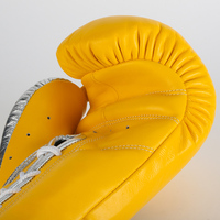 Gants de boxe de haute qualité en cuir et crin de cheval pour la pratique des arts martiaux