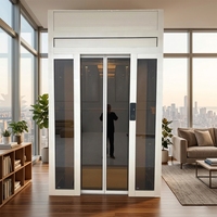 Ascenseur domestique panoramique moderne à cabine étroite de type sac à dos avec traction et cabine en verre