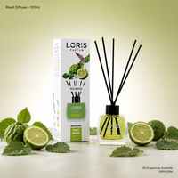 Diffuseur de parfum Loris Ocean Breeze et Lemon Reed 120ml pour la maison, la chambre et le salon