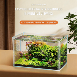 <span class=keywords><strong>Aquarium</strong></span> ultra-clair incurvé pour bureau, habitat pour poissons d'eau douce et marine, nano-vitrine - Product Image 2