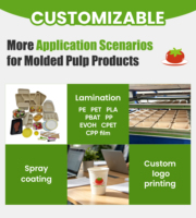 Tapa de plástico transparente de 64 mm para vasos de salsa PET reciclables de 2 oz, tapas a presión sin BPA, a prueba de fugas, para salsa de tomate, aderezos y porciones de condimentos