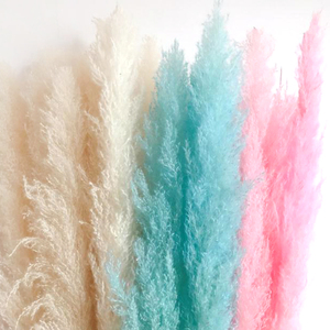 De pampas grass para decoración de <span class=keywords><strong>la</strong></span> boda flores - Product Image 2