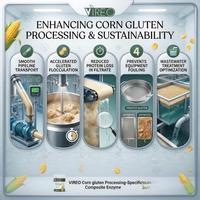 Poudre d'enzyme composite spécifique au traitement du gluten de maïs, qualité alimentaire 5000u/g, additifs alimentaires en vrac