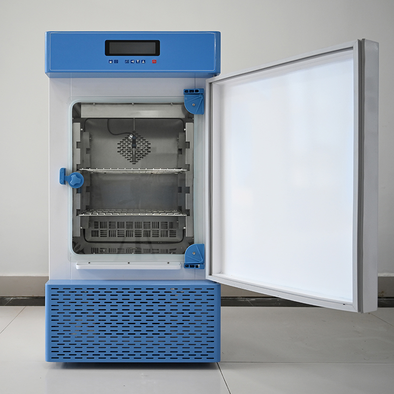 Laboratory Heating Equipment Digital Mini Incubator