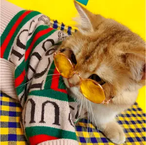 2022 Top Sale Luxury Popular Logo Cat Sweater Warm Winter Dog Christmas Sweater